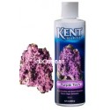 Kent Marine Purple Tech