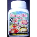 Medifish Paracillin 250mg Capsule