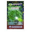 Metro Seeds Blue Kale Gardening Seeds