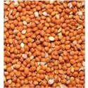 Finches Small Grain Red Millet 