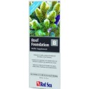 Red Sea Reef Foundation B 