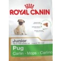 Royal Canin Pug Junior