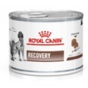 Royal Canin Recovery