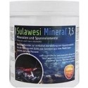 Salty Shrimp Sulawesi Mineral Seven Five