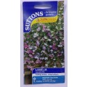 SUTTONS England Lobelia Cascade Mix – 650 Trailing Seeds for Vibrant Hanging Baskets and Containers