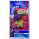 SUTTONS England Phlox Delight Mix