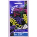 SUTTONS England Statice Sinuata Special mix