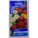 SUTTONS England Zinnia Bright Spark Mix