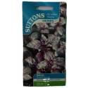 Suttons UK Basil Summer Surprise Herbs Seeds 