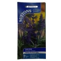Suttons UK Salvia Farinacea Victoria Seeds 