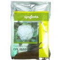 Syngenta CFL 1522 Hybrid Cauliflower Seed