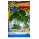 Sam A Curly Parsley Gardening Seeds