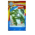 Triple A Rosemary Gardening Seeds