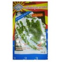 Triple A Thyme Gardening Seeds