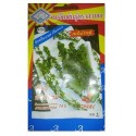 Sam A Thyme Gardening Seeds