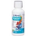 Waterlife Bacterlife P 