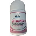 White Crane Vitamix