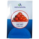 Advanta 3467 F1 Hybrid Tomato Seeds – Compact Determinate Plants, High Yield & Disease Tolerance | 8g Pack