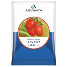 Advanta ADV 1247 F1 Hybrid Seeds – 10g | High‑Yield Red Tomato Variety