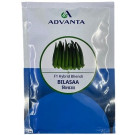 Advanta F1 Hybrid Bilasaa Bhendi Okra Seeds – High-Yield Early Maturing Variety (95gm / ~1500 Seeds)