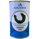 Advanta SAUMYA Classic Yard Long Bean Seeds – High‑Yield Hybrid Variety (300g)
