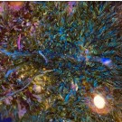 Assorted Green Macroalgae GR3