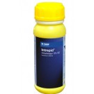 BASF Intrapid Insecticide – Chlorfenapyr 10% SC for DBM & Mite Control in Cabbage and Chilli Crops