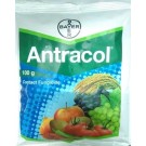 BAYER Antracol Fungicide