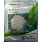 Bayer Seminis DAWN 175 Hybrid Cauliflower Seeds
