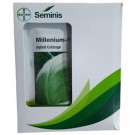 Bayer Seminis Millenium 111 Hybrid Cabbage Seeds – 20g | High‑Yield Green Cabbage Variety