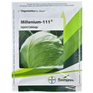 Bayer Seminis Millenium 111 Hybrid Cabbage Seeds – 20g | High‑Yield Green Cabbage Variety