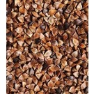 Buckwheat