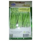 Chia Tai Home Garden Asparagus Mary Seeds