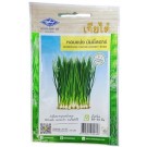 Chia Tai Home Garden Bunching Onion Money Star Seeds