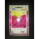 Chia Tai Home Garden Celosia Cristata Seeds