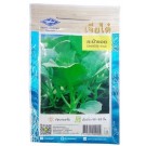 Chia Tai Home Garden Chinese Kale Seeds