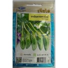 Chia Tai Home Garden Eggplant Maku Green Seeds – High-Yield Variety