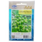 Chia Tai Home Garden Pea Eggplant Seeds