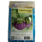 Chia Tai Home Garden Purple Curve Eggplant Seeds – Premium Variety