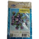 Chia Tai Home Garden Purple Round Eggplant Seeds – Compact, High-Yield Variety