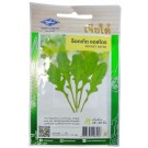 Chia Tai Home Garden Rocket Astro Seeds