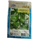 Chia Tai Home Garden Round Green Eggplant Seeds – Compact, High-Yield Variety