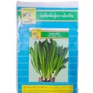 Dek Bin Thai Parsley Seeds