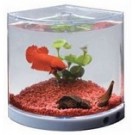 Dophin Acrylic Betta Aquarium Tank