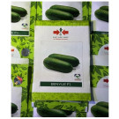 East West Benyue F1 Wax Gourd Hybrid Seeds – Cylindrical High-Yield Variety (100gm)