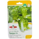 East West Seed Hybrid Cabbage Shogun F1 Seeds