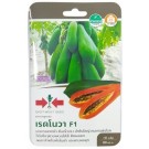 East West Seed Hybrid Papaya Red Nova F1 Seeds