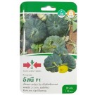 East West Seed Hybrid Pumpkin Asanee F1 Seeds