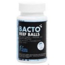 Fauna Marin Bacto Reef Balls