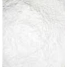 Gypsum Powder 